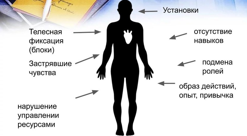 [Мария Ковалева] Метод Универсальных Трансформаций_0.png